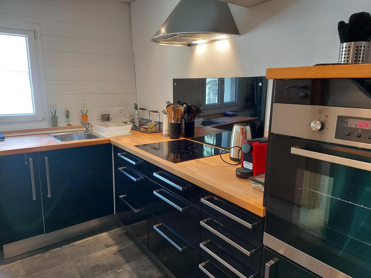 Appartement Voute En Gruyere Dans L'Intyamon Enney Dış mekan fotoğraf