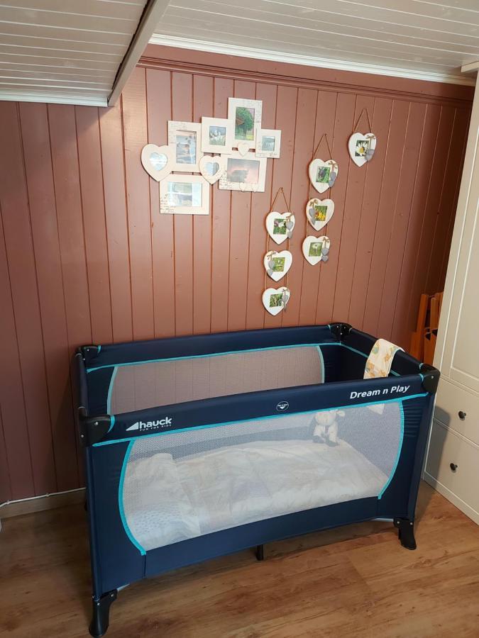 Appartement Voute En Gruyere Dans L'Intyamon Enney Dış mekan fotoğraf